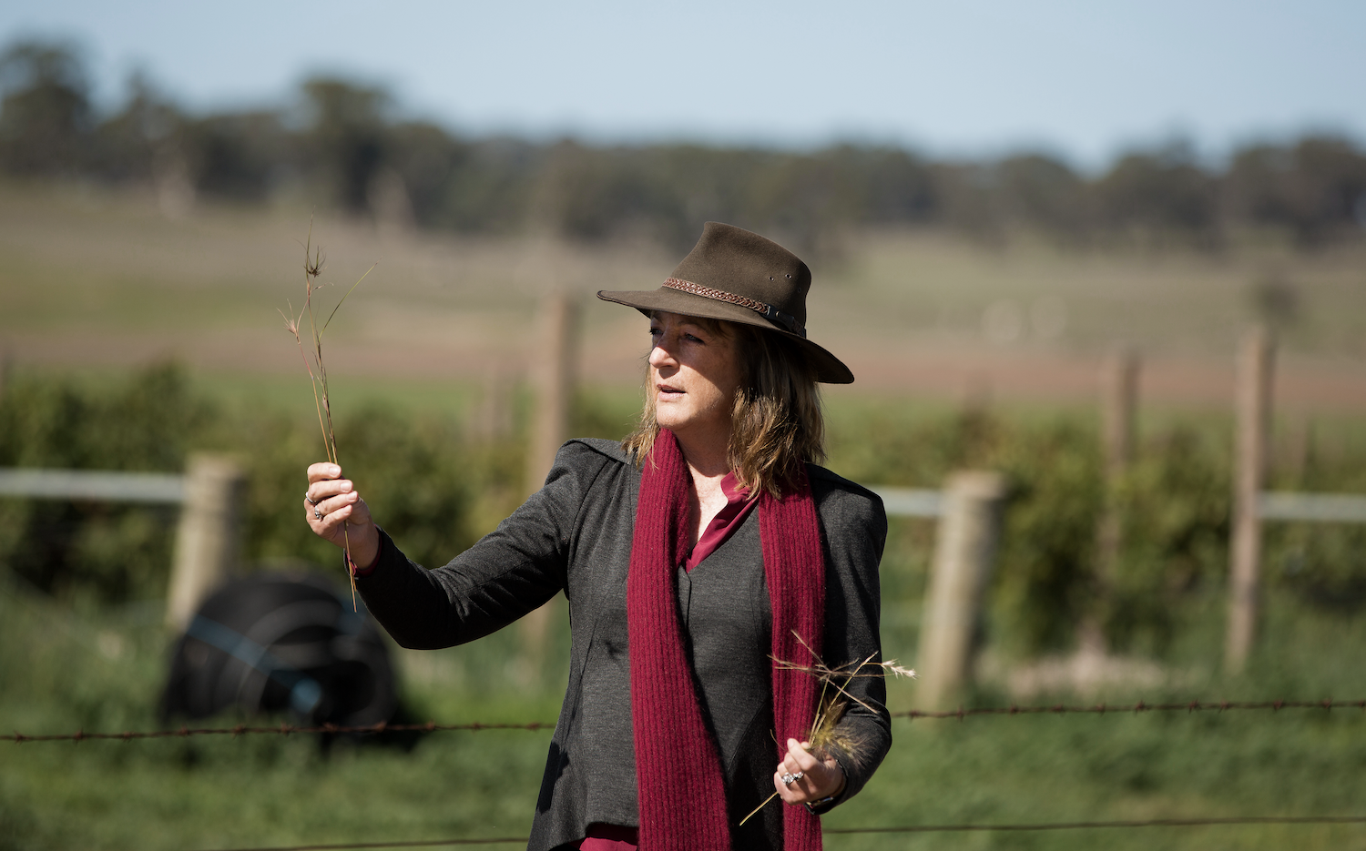 Chief Viticulturist, Prue Henschke has been admitted as a Fellow of the Australian Society of Viticulture & Oenology